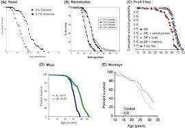 Extension Of Life Span In Laboratory Mice Sciencedirect