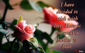Love Quotes About Roses Xikdfoizr Flower Quotes Love Rose Love Quotes Love Quotes