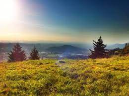 A Stunning View From The Summit Of Mount Pisgah A Popular Hike Just Outside Of Eugeneoregon Mount Pisgah Travel Sights Walking In Nature