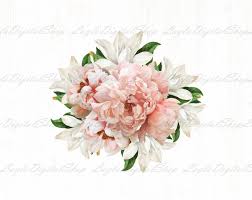 Pinkandwhiteflowersclipart Peoniesfloralbouquet Whiteweddingflorals Springflower Creamandpeachflo In 2020 Pink And White Flowers Flower Clipart Flower Svg Files