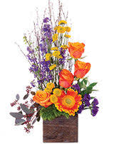 Find the best florists around san antonio,tx and get detailed driving directions with road conditions, live traffic updates, and reviews of local business along the way. Get Well Flowers From Westover Hills Florist By Hfd Local San Antonio Tx Flori