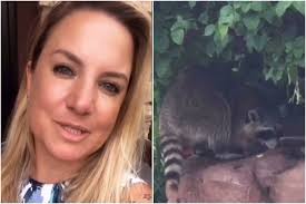 Dani guardini, natural de campinas, interior de são paulo (sp), viralizou nas redes sociais após publicar um vídeo em que aparece sendo atacada por um guaxinim. Era Cilada Guaxinim Fofo Ataca Brasileira Que Mora Em Miami