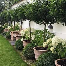 30 Clever Diy Ideas How To Landscape Backyard Garden Simphome Diy Backyard Landscaping Backyard Garden Design Boxwood Garden