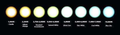 What Color Temperature Light Bulb Should I Use Myksu Co