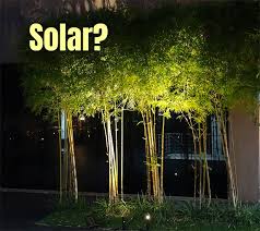 What Are The Best Solar Spot Lights For Trees