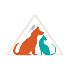 They keep us company and make us laugh. 1st Pet Veterinary Centers Home Facebook