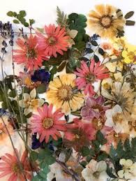 Dry flower petals in homemade soap can be great but only if used correctly. 67 Dried Flower Crafts Visit On Etsy Mimispressedflowers Ideas Flower Crafts Crafts Dried Flowers