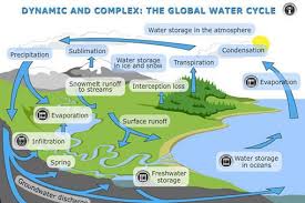 Watercycle Sciencelearn Hub Water Cycle Earth Science Learning Science