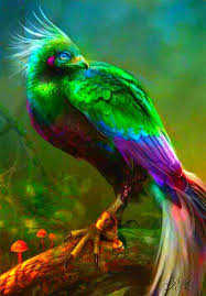 Birds That Sing In The Morning Australia Minka Bird Australian Beautiful Birds Of Paradise Which Terrorize Other Creatures In Their Dreams Looking For Too Beautiful Birds Birds Birds Of Paradise