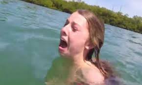 Julissa Collado (@collado_julissa)