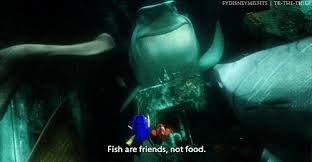 Make your own images with our meme generator or animated gif maker. Finding Nemo Bruce Gifs Get The Best Gif On Giphy
