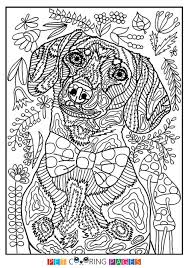 Mens boys birthday card dapper gent to from dachshund sausage dog puppy lover. Pin By Ekaterina On Podelki Dog Coloring Page Dog Coloring Book Animal Coloring Pages