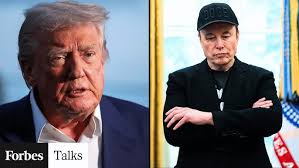 Episode #11 with Dalia Raphael (Founder and Director at Delta Insights)