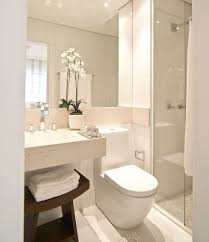 1001 Astuces Et Idees D Amenagement Petite Salle De Bain 2m2 Idee Salle De Bain Interieur Salle De Bain Idees Salle De Bain