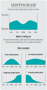 Photography Terms Glossary Tiny Prints Photography Terms Digital Photography Lessons Histogram Photography