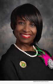 Meet the Candidates 2024 Edition by roushaunjohnson