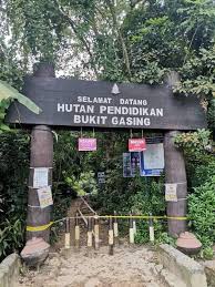 3.09569, 101.66061), or hutan pendidikan bukit gasing, is a forest reserve in kuala lumpur. Friends Of Bukit Gasing Fobg Photos Facebook