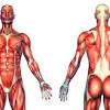 Interestingly enough, the process of digestion. 1