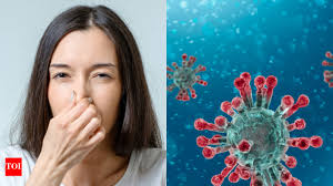 Harvard scientists explain why coronavirus virus patients can't smell