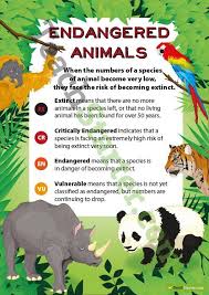 We did not find results for: 9 Endangered Animals Party Ideas Endangered Animals Endangered Endangered Species