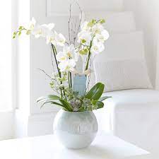 Our Triple Stem White Orchid Features The Grace And Elegance Of A Flowering Winter Bloom Flowers Delivered Flower Decorations Flower Arrangements