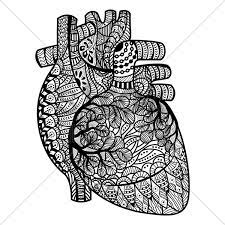 Human heart coloring pages for adults. Heart Doodle Png Image Result For Adult Coloring Pages Human Heart 64379 Vippng