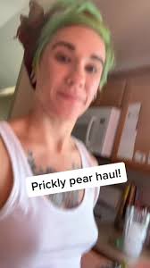 I found a HUGE crop of prickly pears at my work and made syrup! #prick...