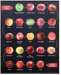 Apple Varieties An Alphabetical Chart Of Which Apple To