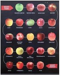 apple varieties an alphabetical chart of which apple to