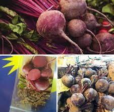 Manfaat buah bit yang dapat dikonsumsi dengan cara direbus, dikukus, dipanggang, dijus, atau dimakan mentah ini pun sangat banyak.tapi, bit bukanlah jenis. Khasiat Dan Kelebihan Ubi Bit Agen Sah Tuaran Sabah Facebook