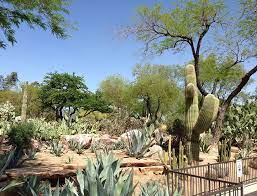 Which is just 10 miles down the strip, the chocolate factory tour was quite interesting. The Un Vegas Las Vegas Guide Goop Botanical Gardens Road Trip Fun Las Vegas Trip