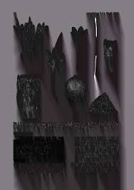 Image result for Tarenna sp. 53