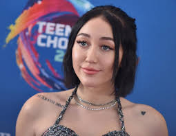 How did noah cyrus make her money? Noah Cyrus Is Selling A Bottle Of Her Tears For 12 000
