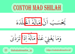 Assalaamu'alaikum pada artikel ini tahsin.id akan menjelaskan hukum tajwid surat al asr lengkap. Mad Shilah Pengertian Jenis Contoh Dan Cara Membacanya