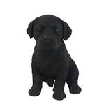 Labrador Retriever Dogs and Puppies for sale in the UK ...