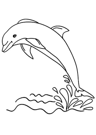 30 Disegni Di Delfini Da Colorare Disegni Di Pesci Delfini Disegni