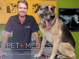 Our staff at angel pet hospital is here to ensure quality and compassionate care to all pets that come our way. Watch Pet Medics New Zealand Prime Video