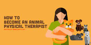 How To Become An Animal Rehabilitation Therapist Eyes On Eyecare