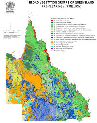 Image result for Buchnera longispicata