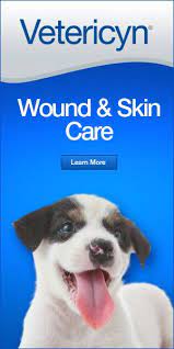 Pin On Pet Products