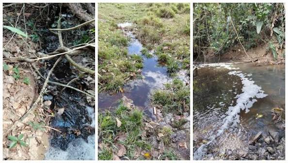 Minist&eacute;rio P&uacute;blico cobra R$ 1 milh&atilde;o de frigor&iacute;fico por contamina&ccedil;&atilde;o do Rio dos Peixes &bull; Olhar Direto