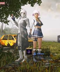 I Like This New Partner Thing Doesnt Do Much But I Think Its Cool Pubgmobile