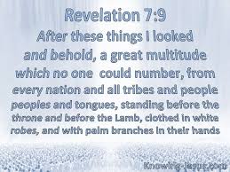 What Does Revelation 7 9 Mean In 2020 Revelation 7 Revelation Forgiveness Of Sin