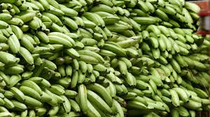 Banana is a popular fruit grown all over the world and a staple food in many developing countries. A New Ai Powered App Scans Banana Crops For Early Signs Of Disease Quartz