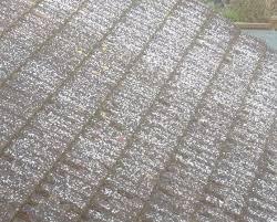 We did not find results for: White Marks On Roof Diynot Forums