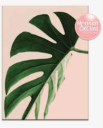 Pink, sky, nature, flower, daytime, plant. 21hc Proud Leaf Plants Minimalist Wallpaper Aesthetic Png Image Transparent Png Free Download On Seekpng