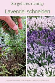 Pin Auf Garten Balkon