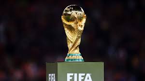 Image result for fifa world cup