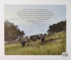 May 05, 2021 · president cyril ramaphosa sold nine cattle worth r2.7 million at an auction last week. Naude D Cattle Of The Ages Ankole Cattle In South Africa Ramaphosa Matamela Cyril Naude Daniel Amazon De Bucher