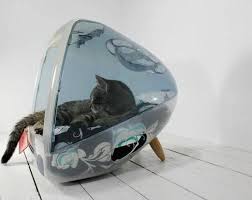 A cat hammock allows your cat to be elevated off the ground. 10 Crazy Awesome Diy Cat Beds That Anyone Can Make